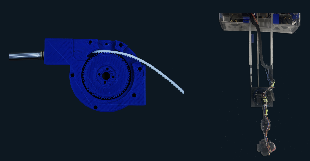 Antennae